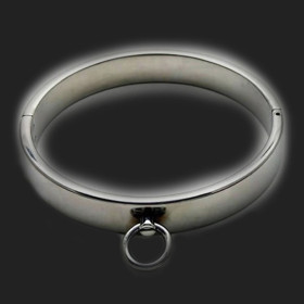 Stainless Steel BDSM Collar