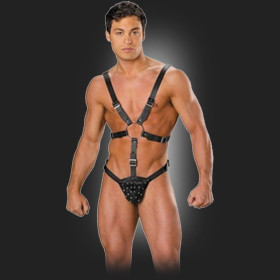 Harness with pouch