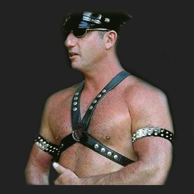 arnés HPH