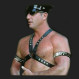 harness  HPH