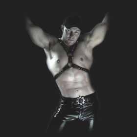harness C08