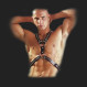 harness C08