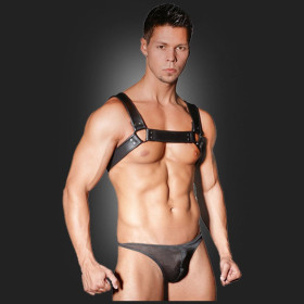 Harness 31001