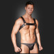 Harness 31001