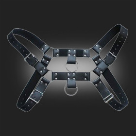 Harness 11204