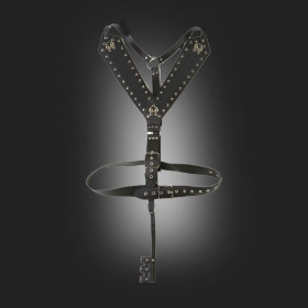 Harness 11221