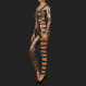 Leopard Body