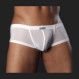boxers