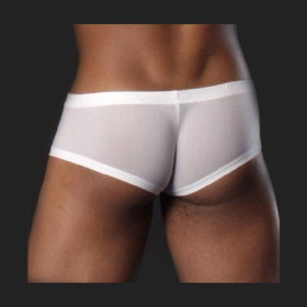 boxers