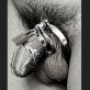 man steel chastity cage dragon totem