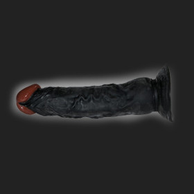 African Lover 23 cm long, diameter 4 to 5 cm.