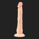 European Lover Small Length: 16 cm x Ø: 2.3 - 2.8 cm