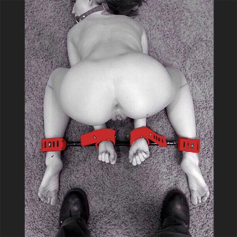 Strap On The Fun, Schnall Dir Deinen Schwanz Um Und Lass Uns Spaß Haben Strap On The Fun, Schnall Dir Deinen Schwanz Um Und Lass Uns Spaß Haben