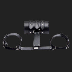 bdsm Armbinder