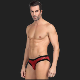 Sexy Höschen aus roter Spitze für Männer