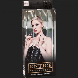 Entice ENTICE TIERED INTIMATE CLAMPS